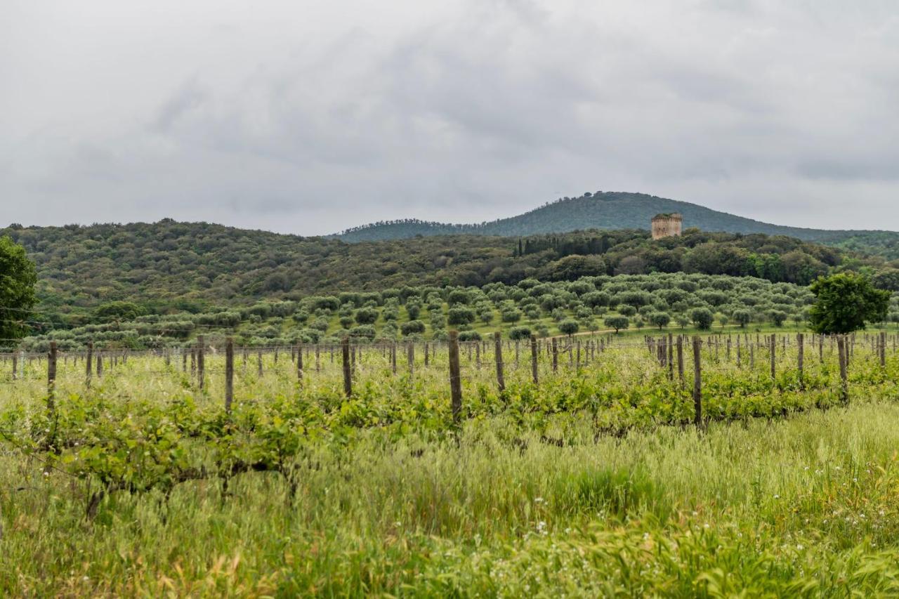 Tenuta Agricola Dell'Uccellina 탈라모네 외부 사진